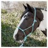 Kantar sznurkowy - Harry's Horse 